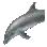 Bottlenose Dolphin