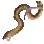 Moray