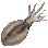 Cuttlefish