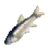 Diamond Minnow