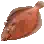 Yellowfin Sole