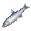 Sharpbelly