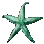 Blue Bat Star