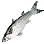 Darekh