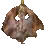 Dried Ray