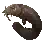 Dried Mudfish