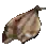 Dried Maomao