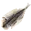 Dried Minnow