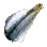 Dried Grass Carp