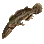 Dried Bowfin
