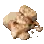 Agent de fermentation
