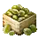 Mungbean