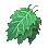 Goosefoot Leaf