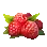 Wild Berry