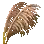 Reed