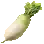 Radish