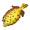 Boxfish