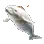 Migloo