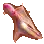Blanket Octopus