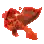 Red Handfish