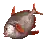 Lampris