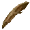 Dried Lungfish