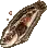 Cano Toadfish