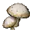 Seta