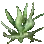 Herb