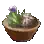 Kaia Herb Bundle