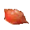 Orange Crab Shell