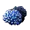 Oceanic Coral
