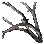Ash Forest Branch