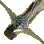 Ornella Crossbow