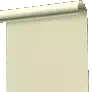 Plastered Wall