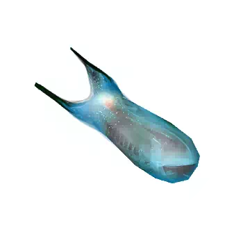Salp