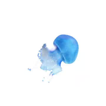 Jellyfish