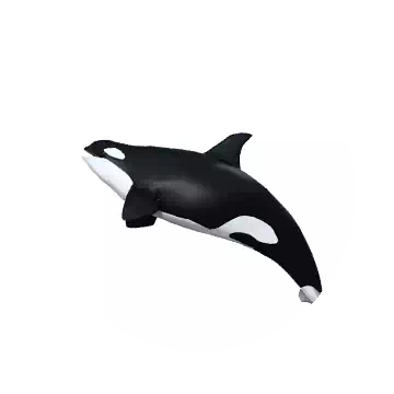 Killer Whale