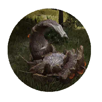 Treant Spirit