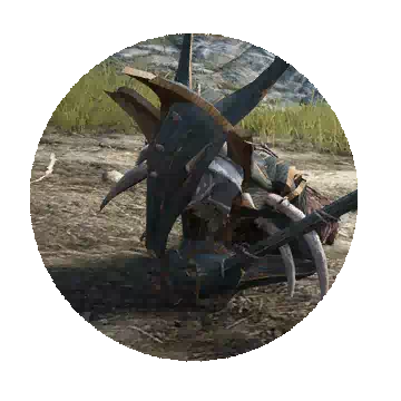 Kaku