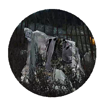 Human Remains