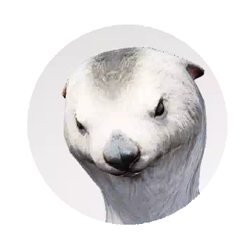Orio