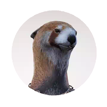 Kyrio