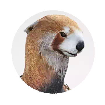 Hirio