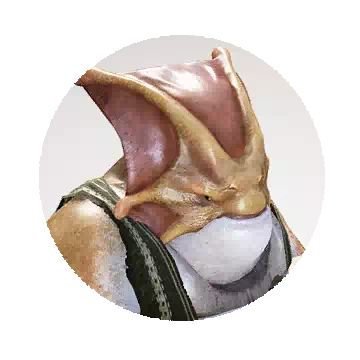 Sankamu