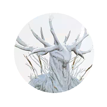 Viverza