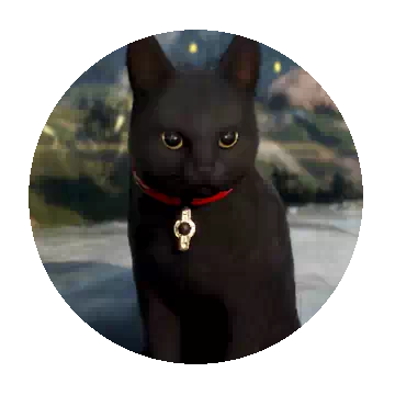 Black Cat