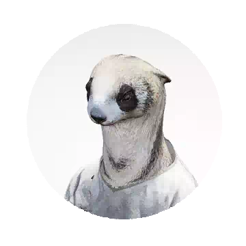Rolan