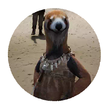 Terseo