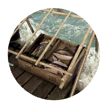 Fish Storage Rack